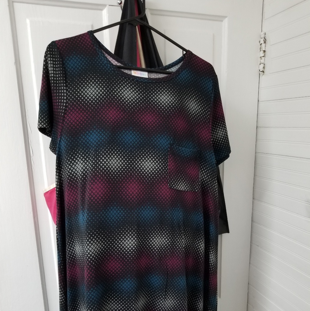 Lularoe Carly Dress (These run very big)